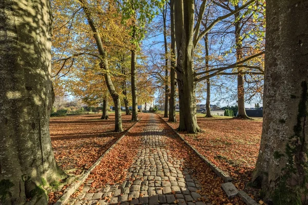 Old road of cobblestone in the botanical garden at Gimle Gaard, in Kristiansand, Norway — Stock Photo, Image