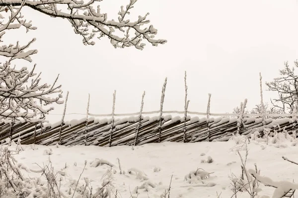 A wooden roundpole fence in winter, covered in snow.