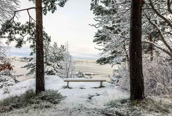 Belle journée d'hiver à Odderoya à Kristiansand, Norvège. Banc couvert de neige, debout entre deux pins. L'océan en arrière-plan . — Photo