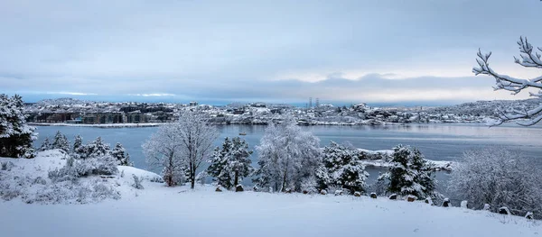 Hermoso día de invierno en Odderoya en Kristiansand, Noruega. Árboles cubiertos de nieve. El océano y el archipiélago en el fondo . — Foto de Stock