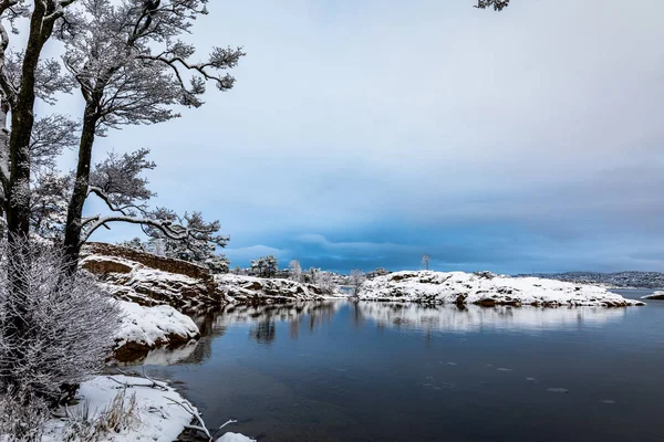Отражения в воде. Зимний день в Оройе в норвежском городе Кристиансанн. Деревья, покрытые снегом . — стоковое фото