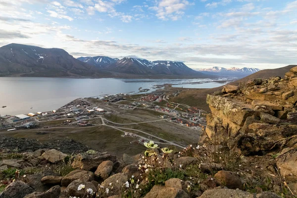 Longyearbyen en de fjord van de komst gezien vanaf Platafjellet, de berg van de Plata, in Svalbard. Papavers en andere bloemen in de rotsachtige voorgrond — Stockfoto