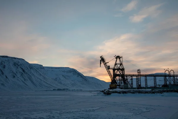 Gran grulla en el paisaje invernal de Pyramiden, Svalbard.. — Foto de Stock