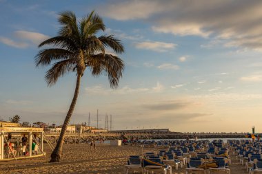 Gran Canaria, İspanya - 10 Aralık 2017: Gran Canaria, İspanya 'daki Porto Riko Sahili' nde palmiye ağacı ve güneşlik. 2016 yılında Kanarya Adaları 'na 13.3 milyon ziyaretçi geldi..