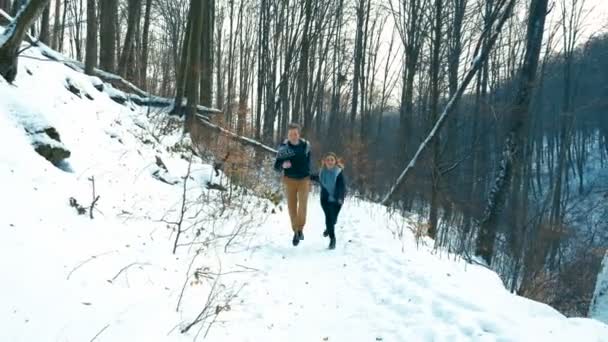 カップル冬雪の森を歩く — ストック動画