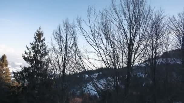 Канатная дорога в горах над лесом — стоковое видео