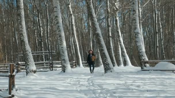 Gelukkig man is het dragen van warme zwarte jas in park met esdoorn gele bladeren, wintertijd — Stockvideo