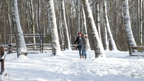 愛する幸せな冬の森で若いカップルが感情的に実行されます。. — ストック動画