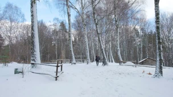 Любляча щаслива молода пара емоційно бігає в зимовому лісі . — стокове відео