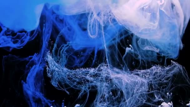 블루와 핑크 잉크는 물에 검은 배경 촬영 — 비디오