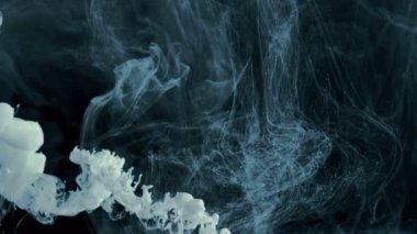 Mavi ve beyaz mürekkep su yüksek hızlı kamera ile çekim siyah arka plan üzerine düştü,