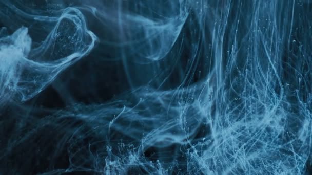 천천히 물 공간에 떠 있는 잉크의 구름, 클로즈업, 검은 배경 — 비디오