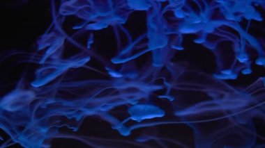 Mavi renk sıvı su hareketi içinde.