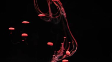 Siyah bir arka plan, kırmızı mürekkep su soyut kırmızı parçacıklar