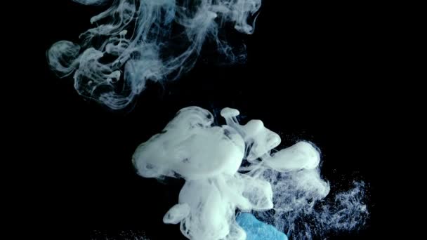 Blue and white ink in water shooting with high speed camera, slow motion — Stock Video