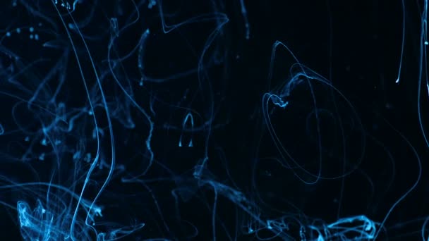 Moln av bläck flyter långsamt tråg utrymme, närbild, svart bakgrund abstrakt wallper — Stockvideo