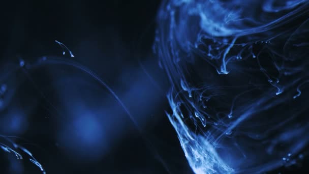 Shot of Ink Moves. Cosmic abstraction of a light blue particle ink. macro — Stock Video