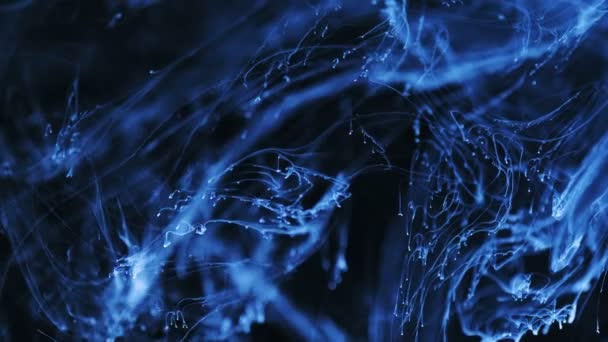 Skott av bläck flyttar. Kosmiska abstraktion av en ljus blå partikel bläck. makro — Stockvideo