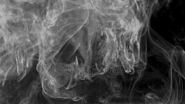 Transición de humo de tinta: animación de transición que se asemeja a tinta o humo. Abstracción en blanco y negro en forma de humo — Vídeos de Stock