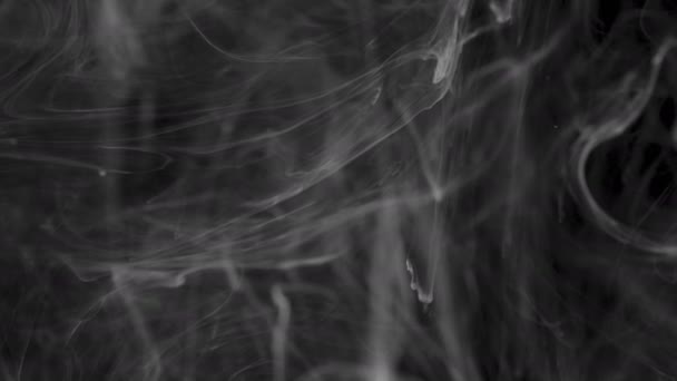 Transición de humo de tinta: animación de transición que se asemeja a tinta o humo. Abstracción en blanco y negro en forma de humo — Vídeo de stock