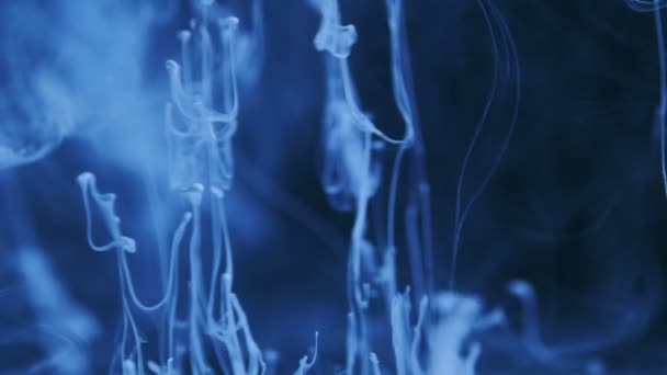 Prise de vue d'Ink Moves. Abstraction cosmique d'une encre à particules bleu clair. macro 