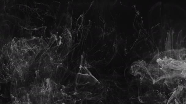 Ink Smoke Transition - Transition animation resembling ink or smoke. Black and white abstraction in the form of smoke