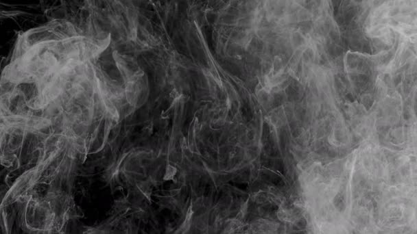 Humo sobre fondo negro. Abstracción en blanco y negro . — Vídeo de stock