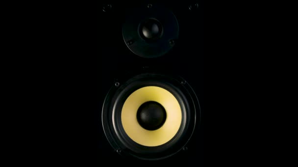 Moving professional music studio monitor. Close-up. — Stock Video