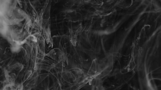 Rauch auf schwarzem Hintergrund. Schwarz-Weiß-Abstraktion. — Stockvideo