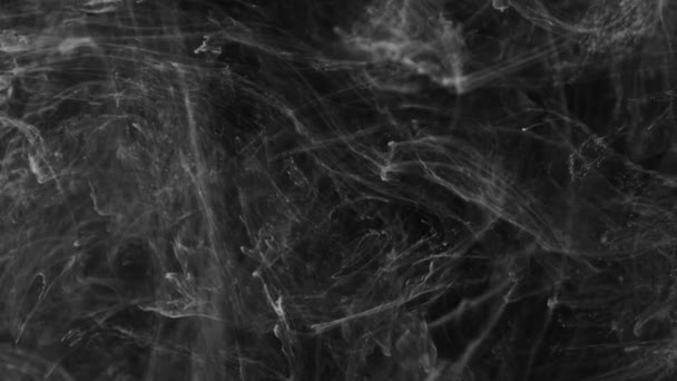 Fumaça no fundo preto. abstração preto e branco . — Vídeo de Stock