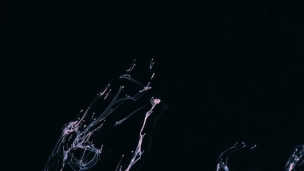 Cloud of ink floating slowly trough space, close up, black background abstract wallper — Stock Video