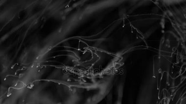 Beyaz mürekkep siyah arka plan üzerine çekildi. Beyaz mürekkep incecik iplikçikler benzersiz bir ortam oluşturmak için suya tepki. Mükemmel dokular ekleme veya yabancı ortamlar gökyüzü kullanma