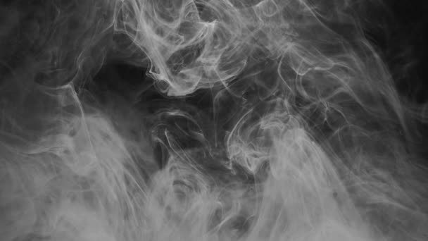 Fumée sur fond noir. abstraction noir et blanc . — Video