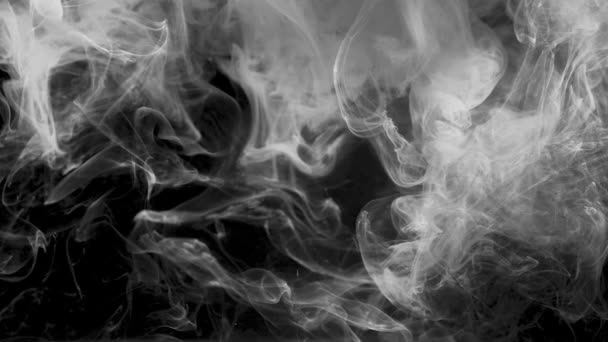 Fumée sur fond noir. abstraction noir et blanc . — Video