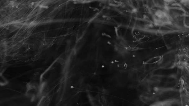 Weiße Tinte auf schwarzem Hintergrund gefilmt. Wispy Stränge weißer Tinte reagieren auf das Wasser, um eine einzigartige Umgebung zu schaffen. perfekt zum Hinzufügen als Texturen oder Verwendung als fremde Atmosphären Himmel — Stockvideo