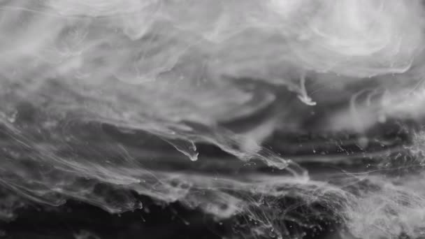 Transición de humo de tinta: animación de transición que se asemeja a tinta o humo. Abstracción en blanco y negro en forma de humo — Vídeo de stock