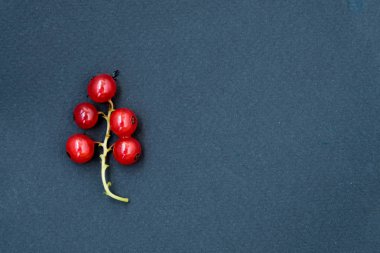 Olgun kırmızı kuş üzümü karanlık bir arka plan üzerinde. Su damlacıkları.