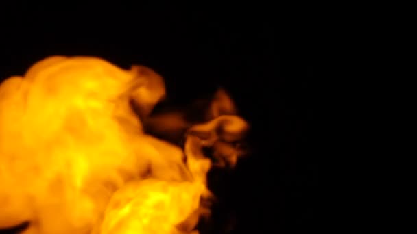 Fiamme di fuoco su sfondo nero — Video Stock