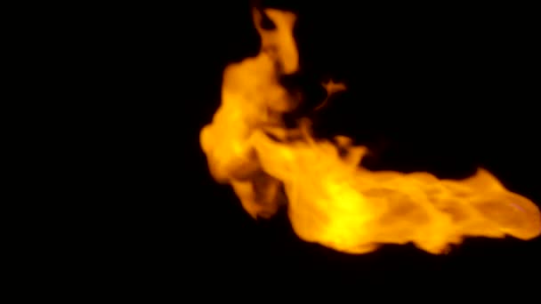 Plamen ohně praská v jednom směru, izolované na černém pozadí — Stock video