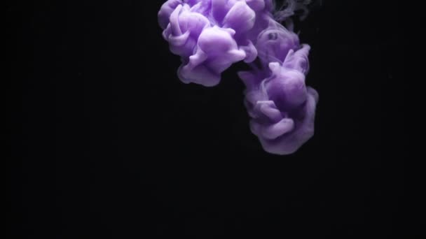 Nuage d'encre lilas dans l'eau isolé sur noir — Video
