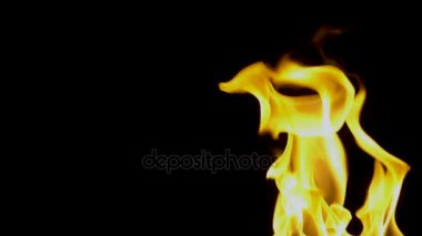 Flameson siyah bir arka plan ateş. ağır çekim