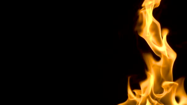Brand flameson een zwarte achtergrond. Slow motion — Stockvideo