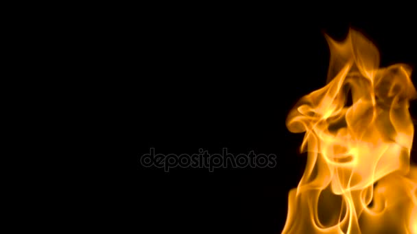 Brand flameson een zwarte achtergrond. Slow motion — Stockvideo