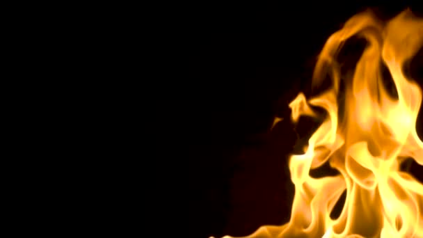 Brand flameson een zwarte achtergrond. Slow motion — Stockvideo