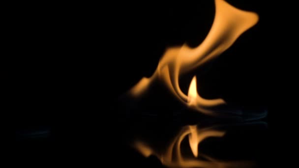 Огонь изолирован на черном фоне. замедленное движение — стоковое видео