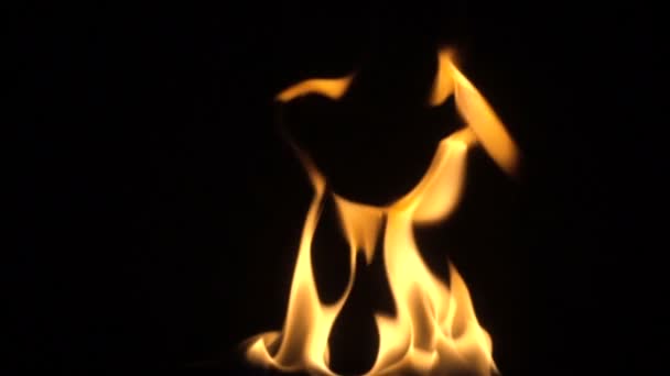 Fire isolated over black background. slow motion — Stock Video