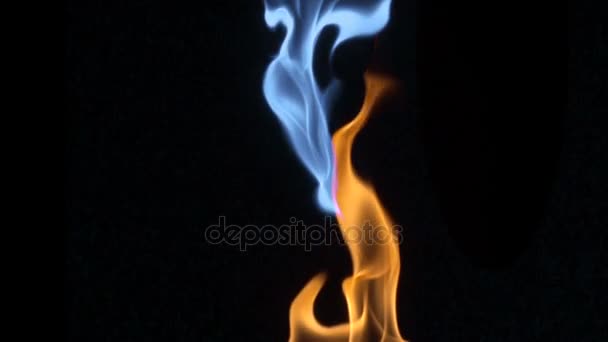 Fuego detallado aislado en negro naranja y azul completo Hd, cámara lenta, bucle sin costuras . — Vídeos de Stock