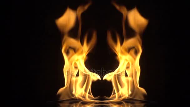 Two flames move synchronously. isolated over black background. slow motion — Stock Video