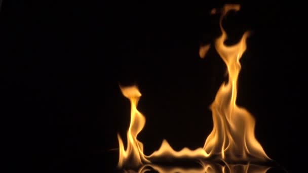 Feuer isoliert über schwarzem Hintergrund. Zeitlupe — Stockvideo