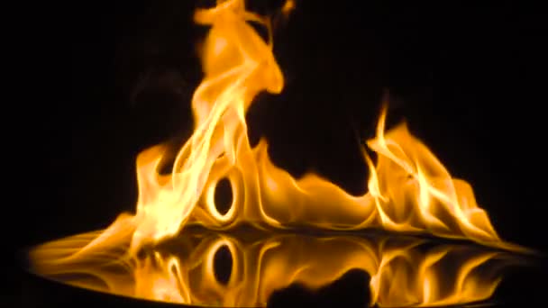 Fire isolated over black background. slow motion — Stock Video